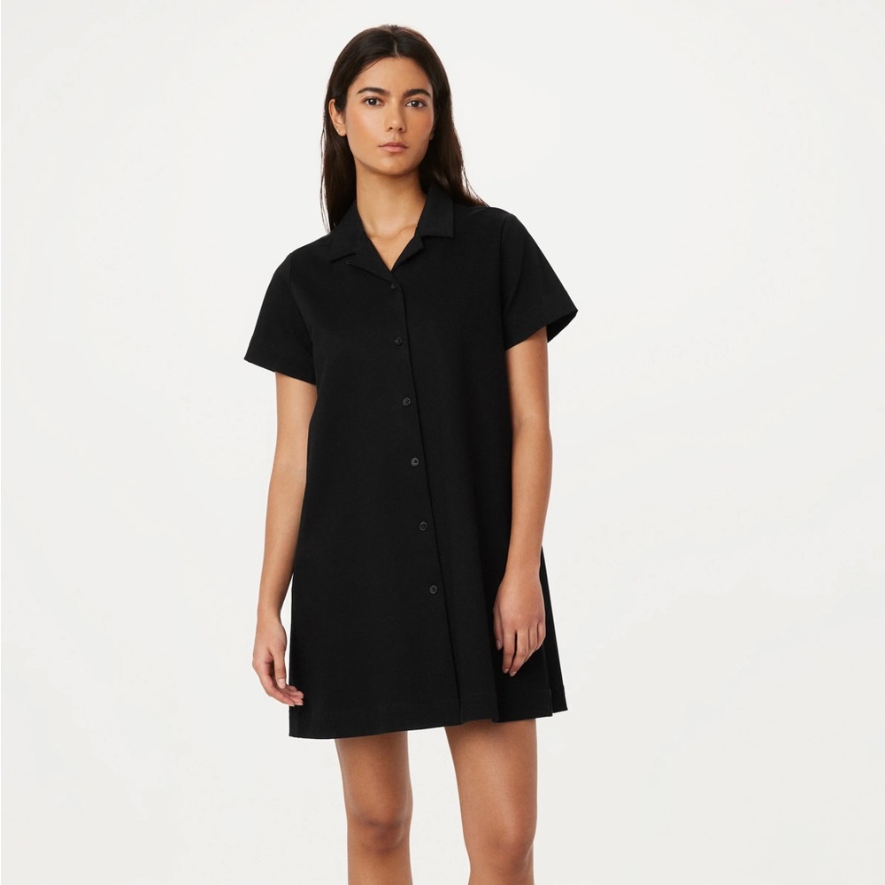 Frank and Oak Collared Mini Dress